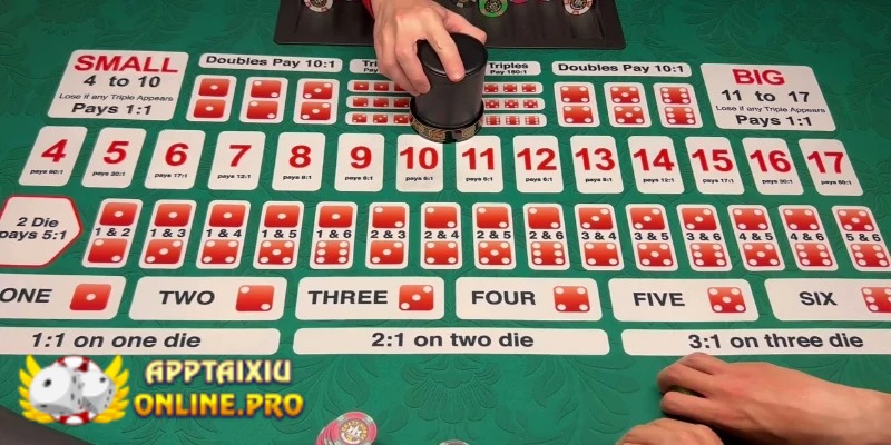 Trong trò chơi Tài xỉu Sicbo, bạn được phép chọn cược một con số cụ thể